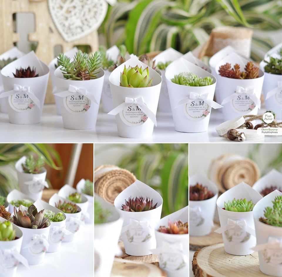 PlantAtelier 5