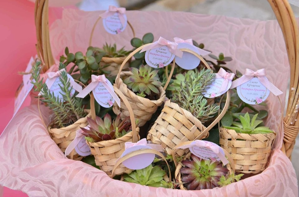 PlantAtelier 7